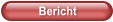 Bericht