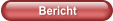 Bericht