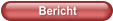 Bericht
